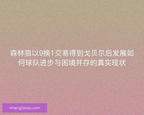 森林狼以9换1交易得到戈贝尔后发展如何球队进步与困境并存的真实现状