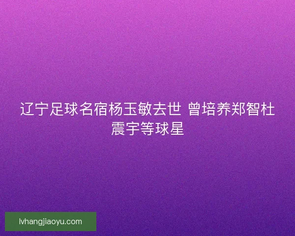 辽宁足球名宿杨玉敏去世 曾培养郑智杜震宇等球星