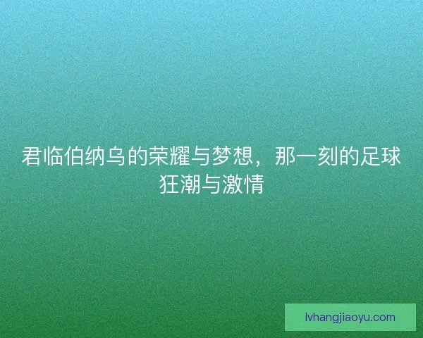 君临伯纳乌的荣耀与梦想，那一刻的足球狂潮与激情